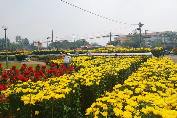 Chợ hoa tại công viên Gia Định