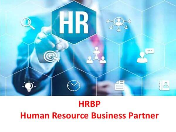 Vị trí HR Business Partner