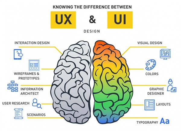 UI/UX Designer là nghề gì? Những tố chất cần có để làm UI/UX Designer