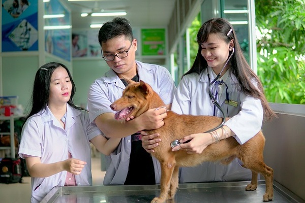 Trường đào tạo ngành thú y (Nguồn: Internet)