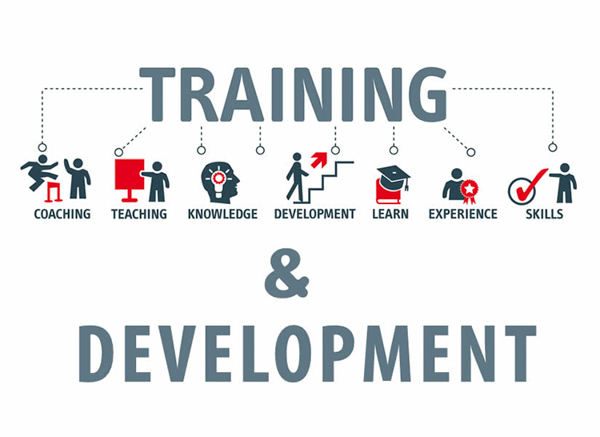 Nhân viên sẽ có thêm kiến thức và kỹ năng thông qua các chương trình training