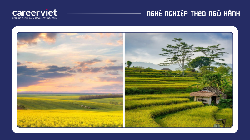 Hình nền cánh đồng đất đai