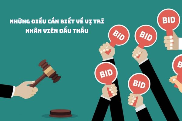 5 Điều cần biết về vị trí việc làm Nhân viên Đấu thầu