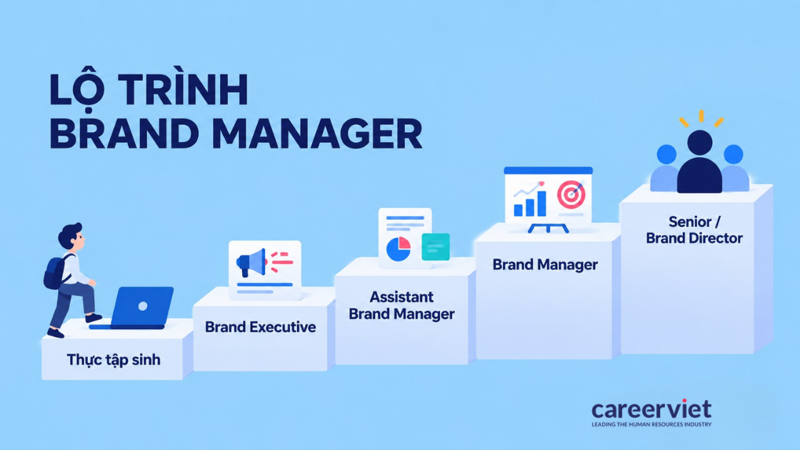 Lộ trình Brand Manager từ thực tập sinh, Brand Executive đến Brand Director