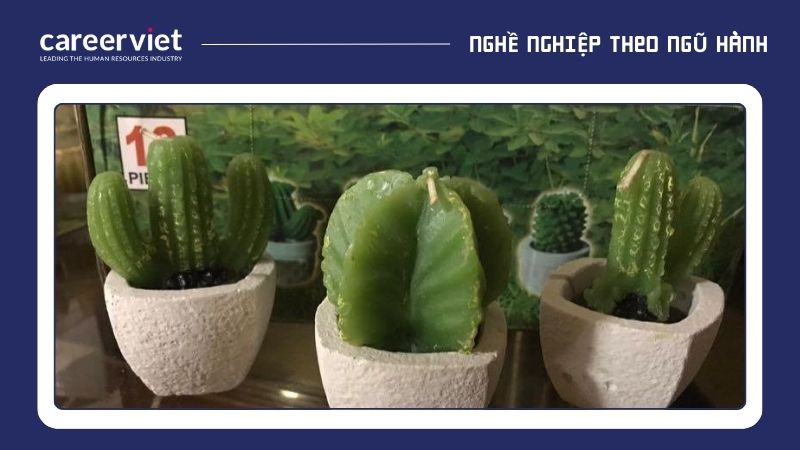 Đối với người mệnh Thổ, cây xương rồng là lựa chọn tuyệt vời vì Thổ sinh Kim, và Kim lại phù hợp với xương rồng.