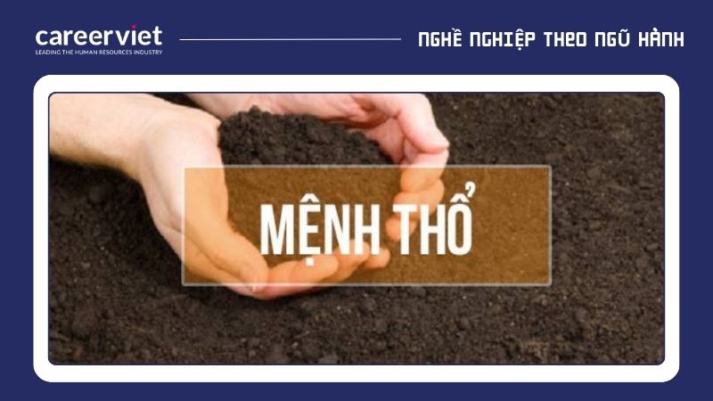 Việc xác định mệnh Thổ hợp và kỵ màu nào không đơn thuần dừng lại ở phong thủy, mà còn là cách tiếp cận khéo léo để định hướng con đường sự nghiệp.