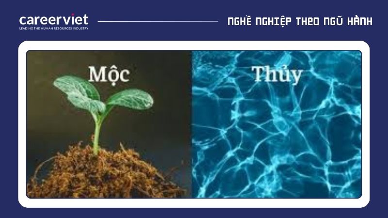 Mệnh Mộc và Thủy có mối quan hệ tương sinh 