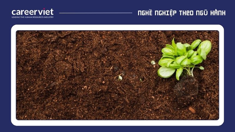 Năm 2025 người mệnh Thổ nên làm công việc gì?