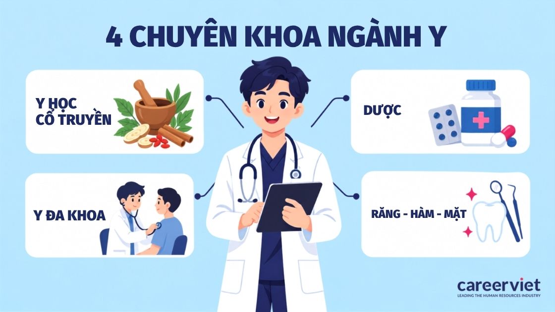 Bốn chuyên khoa ngành y phổ biến tại các trường đại học