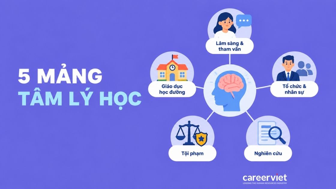 Các mảng chuyên môn chính của ngành tâm lý học