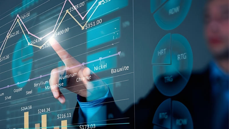 Các chuyên viên tài chính có thể làm việc ở đâu?