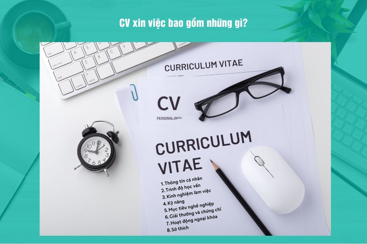 Các mục cơ bản không thể thiếu trong CV (Nguồn: CareerViet )