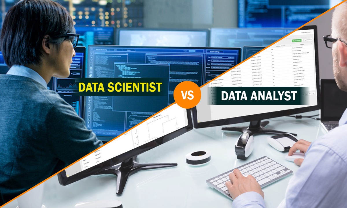 Data analyst chỉ báo cáo kết quả theo phân công nhiệm vụ đó