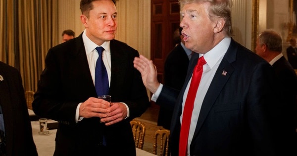 Elon Musk sa thải 1 loạt lãnh đạo cấp cao sau khi tiếp quản Twitter; tài khoản của ông Trump vẫn chưa được khôi phục