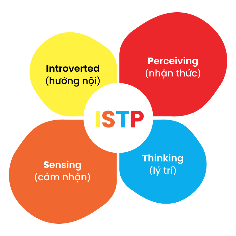 Tính Cách ISTP Là Gì? Khám Phá Những Đặc Điểm, Ưu Nhược Điểm Và Mối Quan Hệ Của ISTP