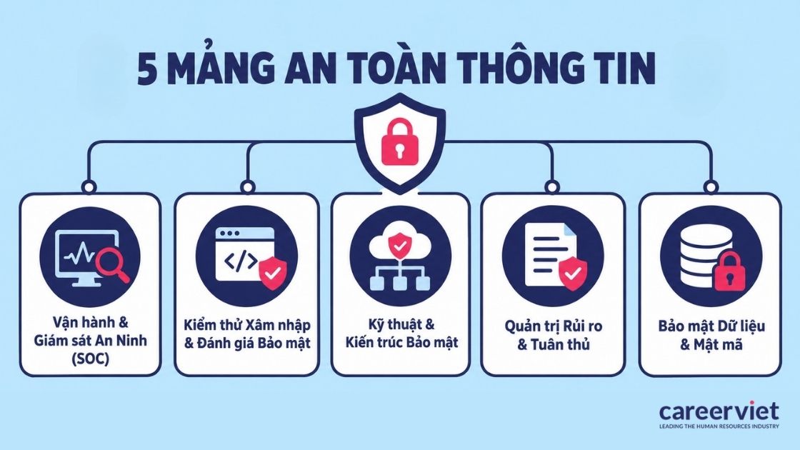 Năm mảng chuyên môn của ngành an toàn thông tin hiện nay