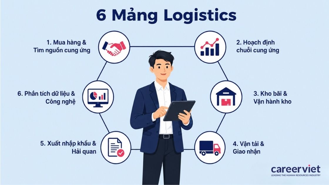Sáu mảng chuyên môn nối thành một chuỗi liên tục, người mới nên chọn một mảng để vào nghề.