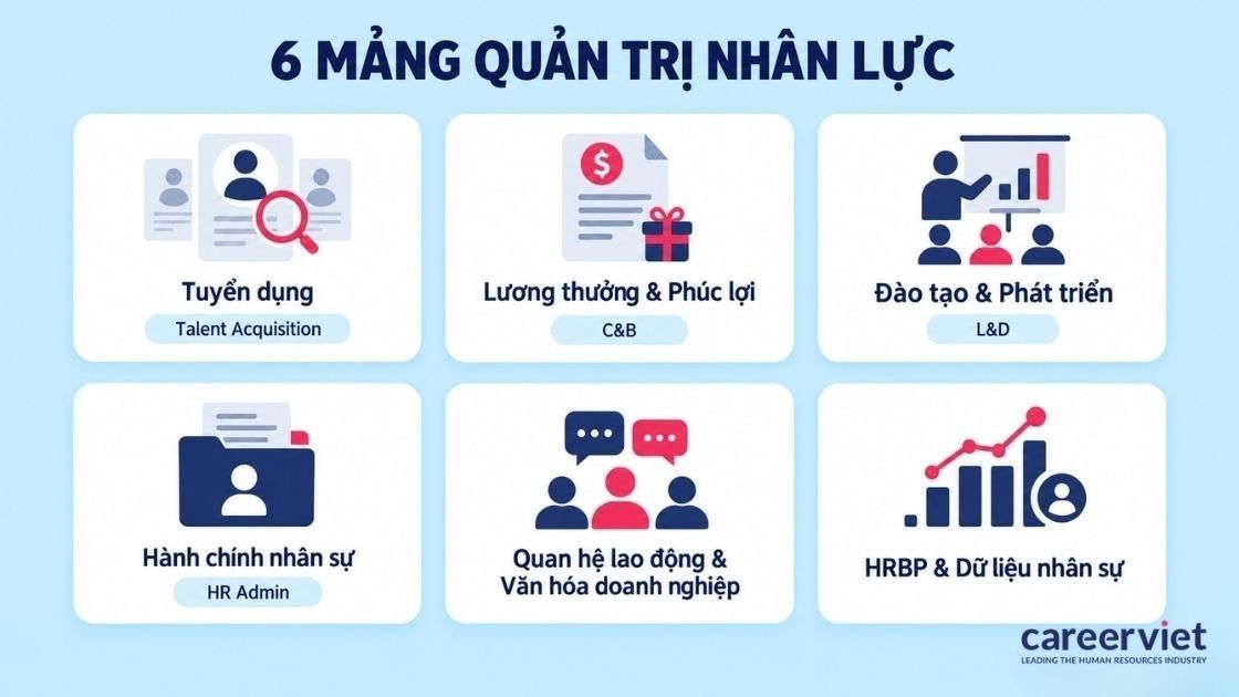 Các mảng ngành quản trị nhân lực
