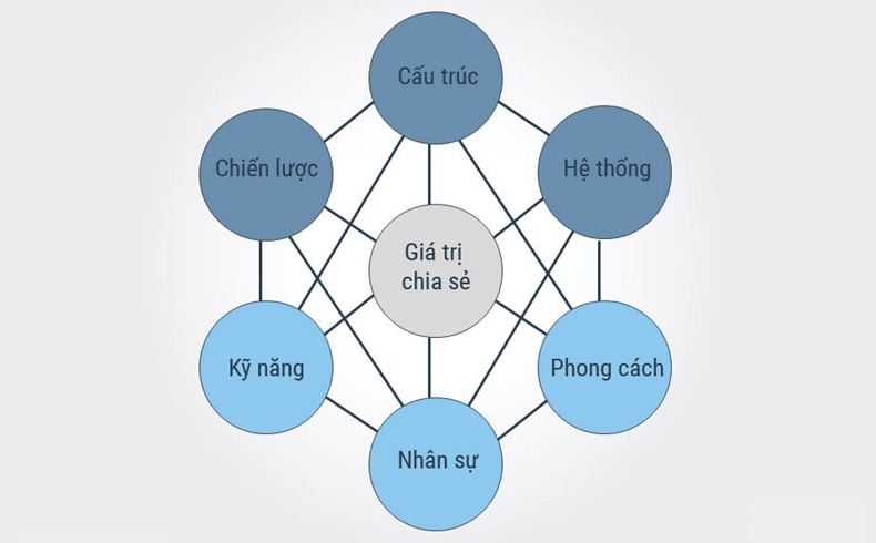 Mô hình 7s hiện nay được sử dụng khá rộng rãi