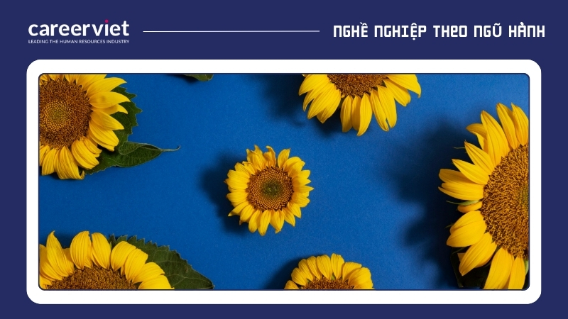 Hoa hướng dương