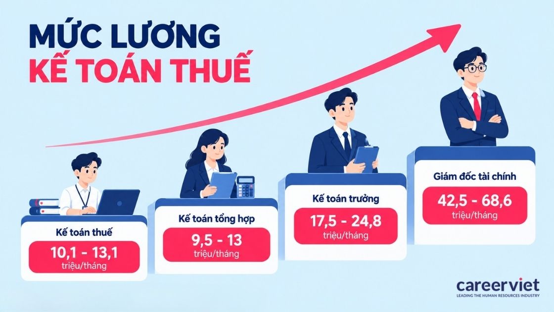 Mức lương kế toán thuế theo từng cấp bậc nghề nghiệp
