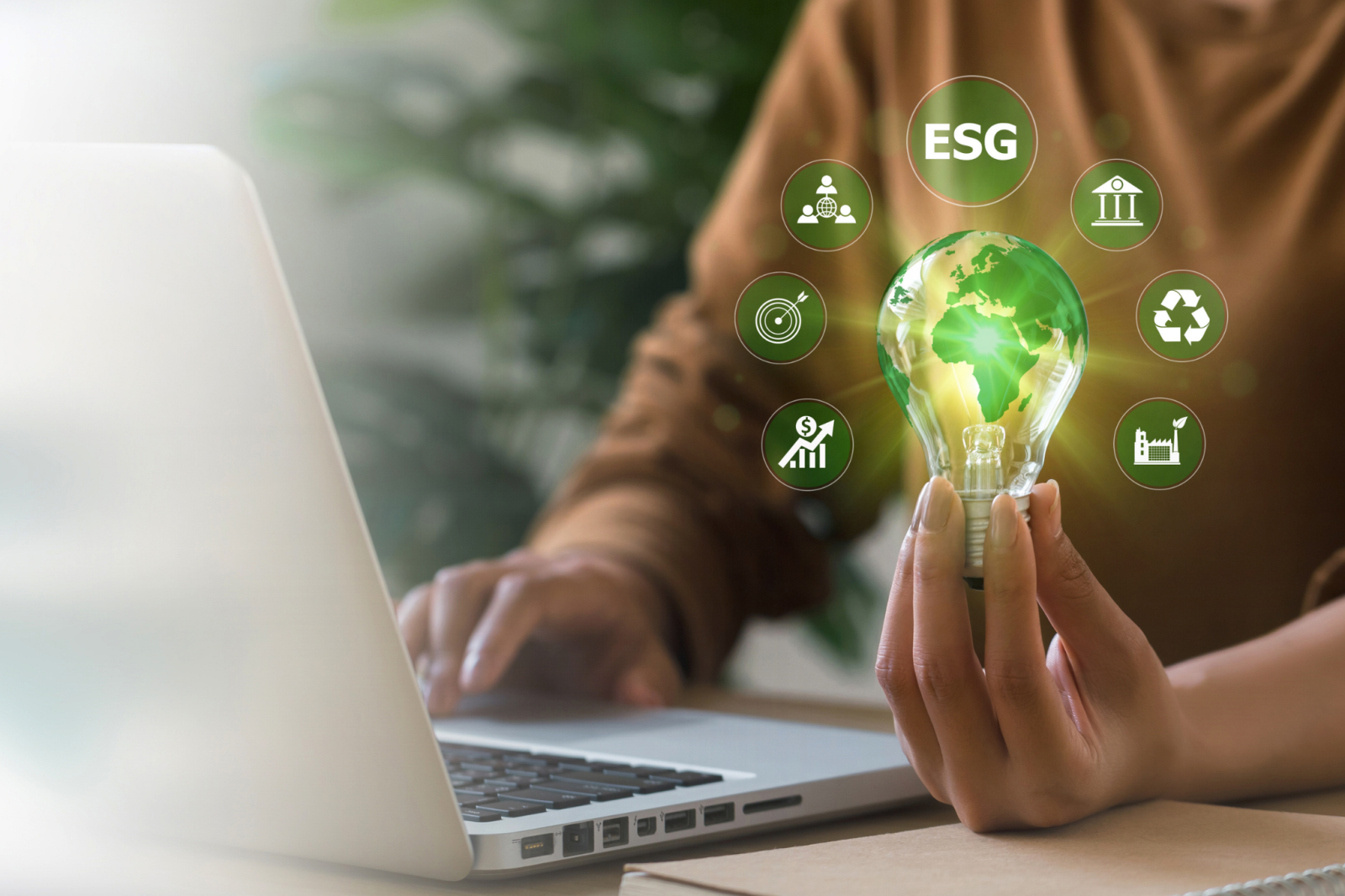 Quản lý môi trường thực chất là làm gì? Nguồn: Internet
