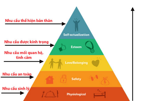 Tháp nhu cầu Maslow với 5 cấp bậc