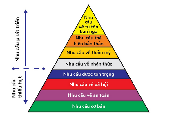 Tháp nhu cầu Maslow mở rộng với 8 bậc