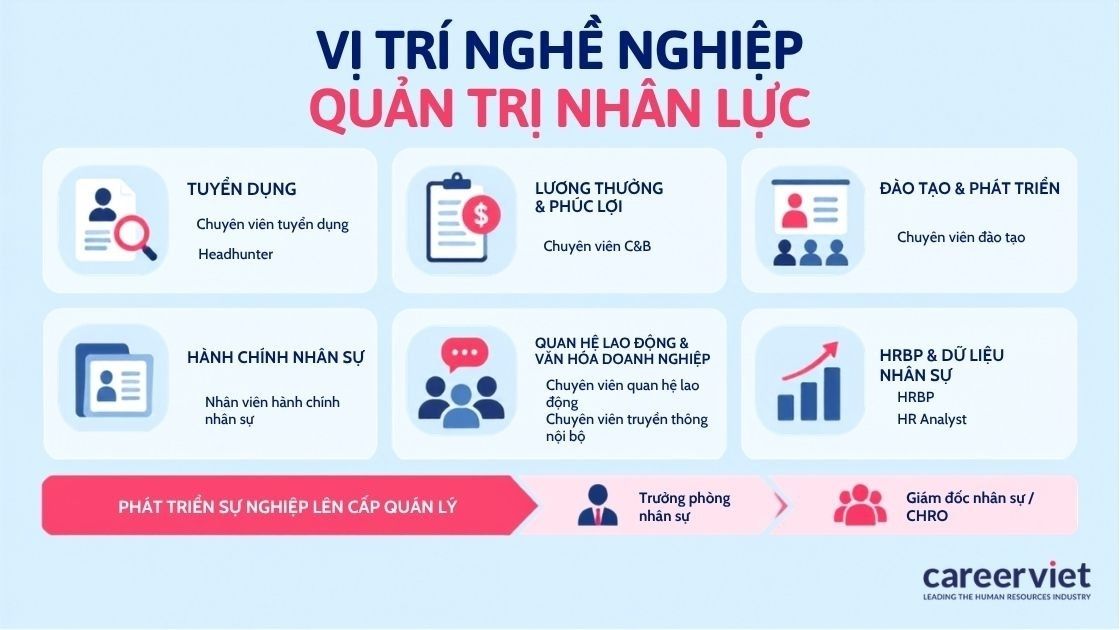 Các vị trí nghề nghề nghiệp của ngành