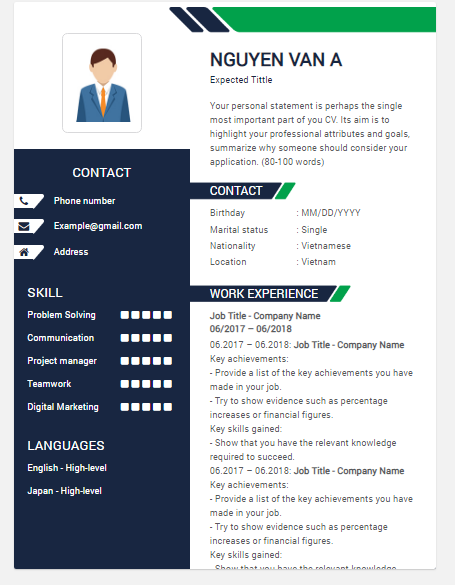 Ví dụ về CV hiện đại đa sắc ( Nguồn: CV HAY - CareerViet.vn)