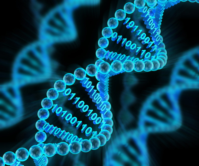 Sử dụng cơ chế mã hóa của DNA vào sản xuất máy tính đã có những bước tiến lớn.
