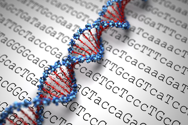 
Các phần tử DNA dùng 4 bốn loại nucleobase chứa nitơ là cytosine (C), guanine (G) và adenine (A) để mã hóa.
