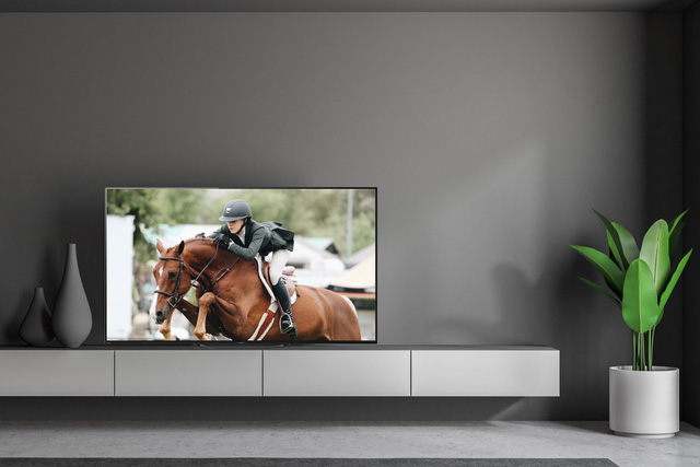 Vì sao công nghệ OLED “làm mưa làm gió” trên thị trường TV? - Ảnh 2.