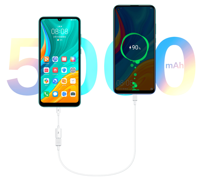 Huawei Enjoy 10e ra mắt: Pin 5.000 mAh, camera kép 13MP, màn hình 6,3 inch, giá chỉ từ 143 USD - Ảnh 3.