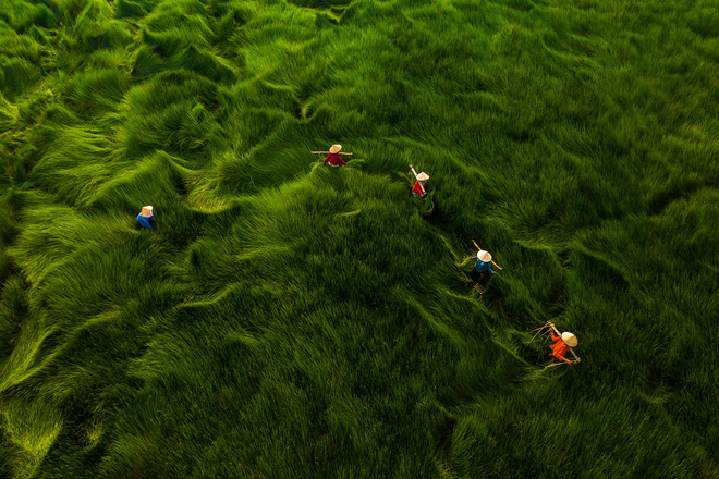 Loạt tác phẩm Việt giành giải cao tại cuộc thi Nhiếp ảnh từ trên không - Ảnh 4.