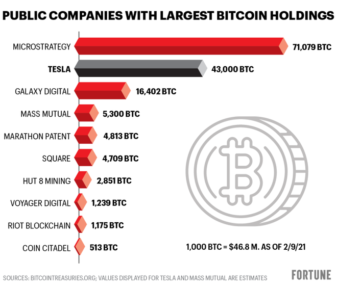 Không phải Tesla, đây mới là cá mập đang nắm giữ lượng Bitcoin nhiều nhất trên thế giới - Ảnh 1.