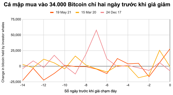 Cá con, cá mập đua nhau bắt đáy Bitcoin - Ảnh 2.