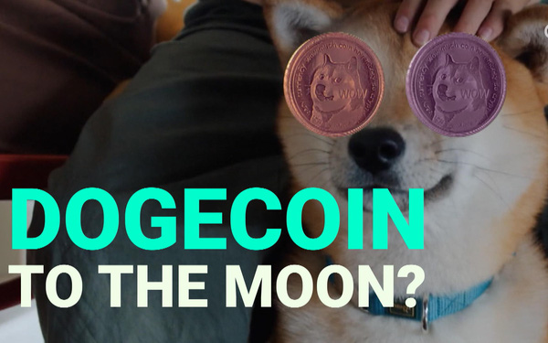 Bóng bóng Dogecoin nổ tung: Giá trị giao dịch có ngày giảm 93%, các ‘cá voi’ nắm giữ nhiều nhất lo sợ - Ảnh 1.