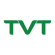 Công Ty TNHH TVT Holdings