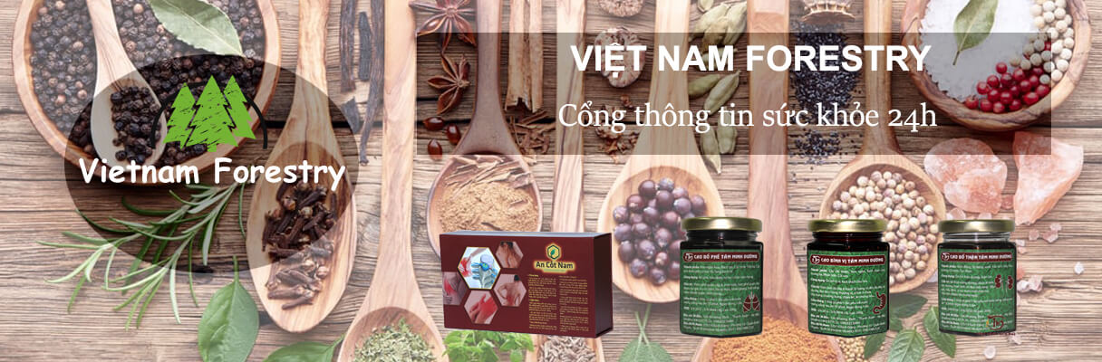 Việt Nam Forestry Cổng thông tin sức khỏe 24h