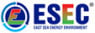 Project engineer