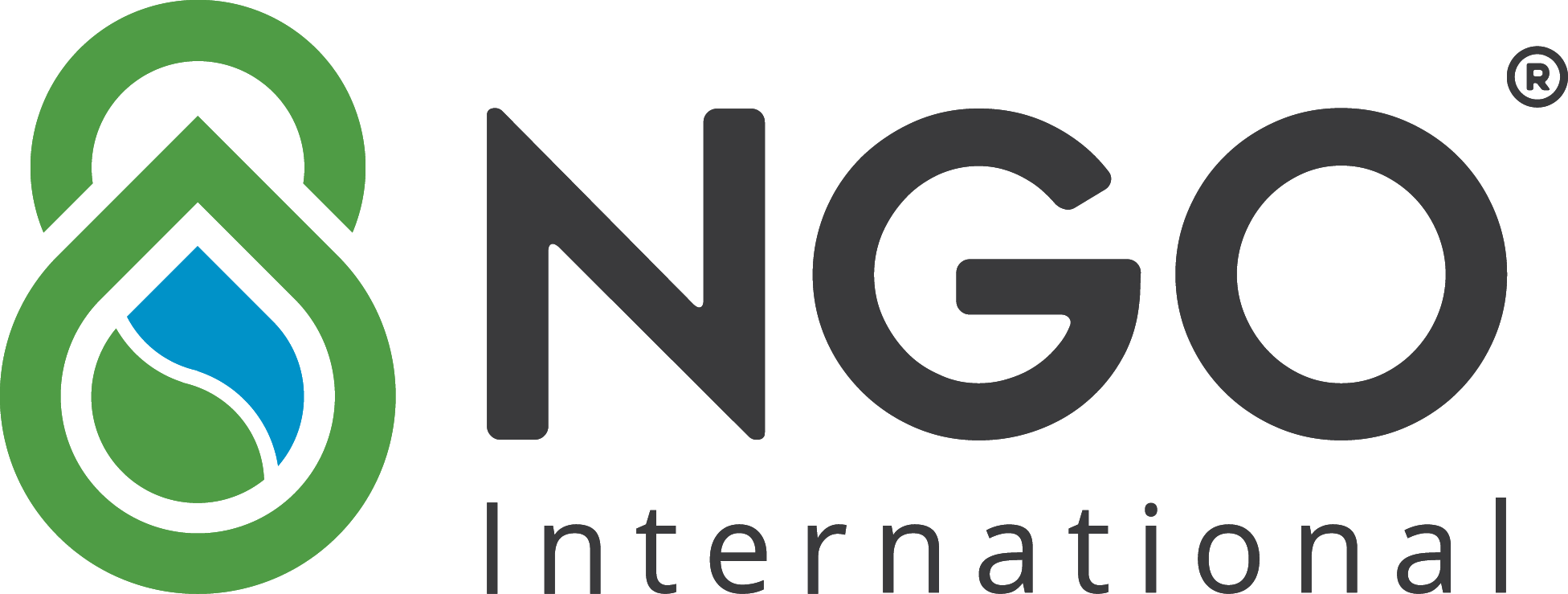 Công ty TNHH Quốc tế NGO 