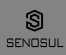 SENOSUL S.A.