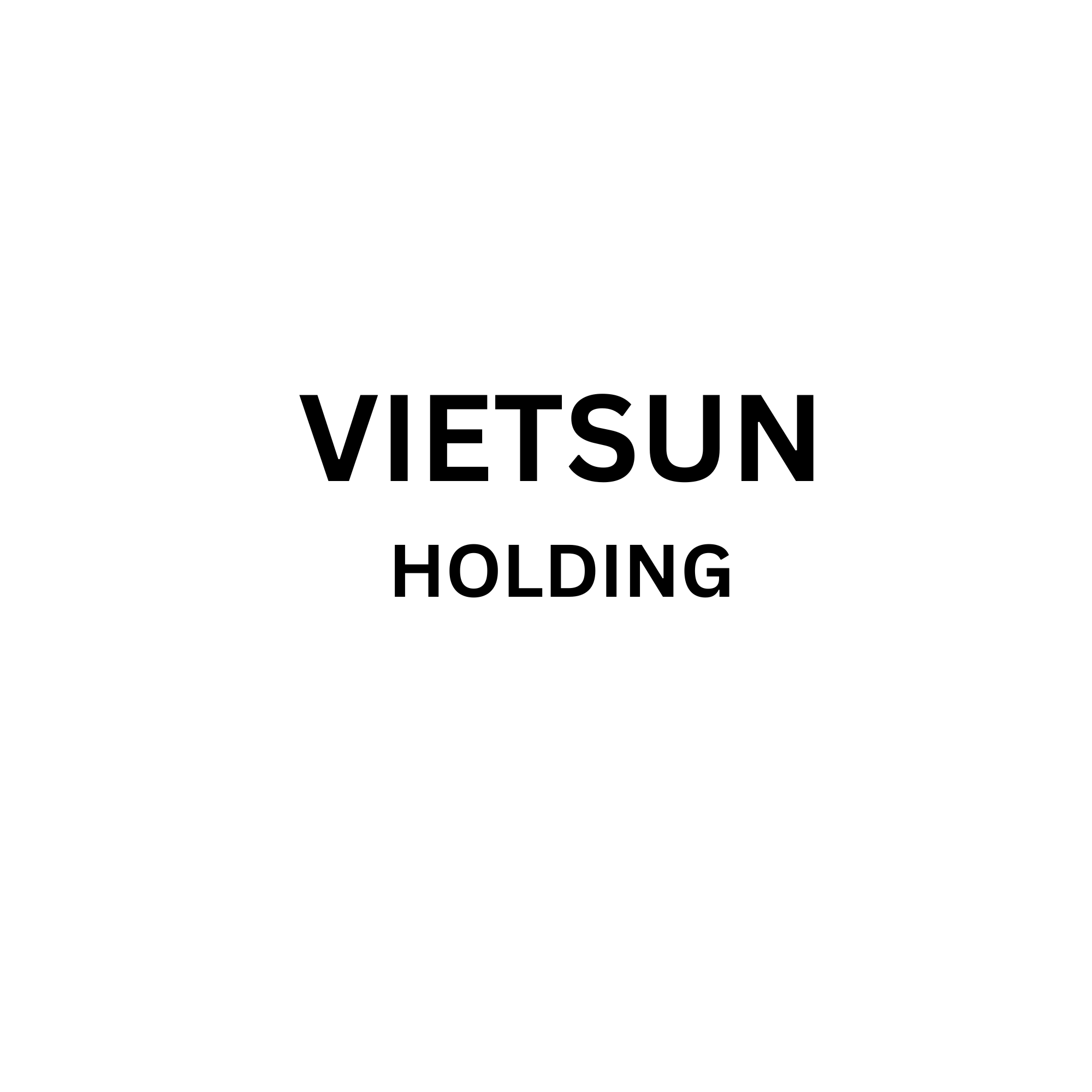 CÔNG TY CỔ PHẦN ĐẦU TƯ VIETSUN HOLDING logo