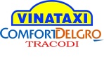  Công Ty Taxi Việt Nam (VINATAXI)