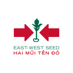 East-West Seed (Hai Mũi Tên Đỏ)