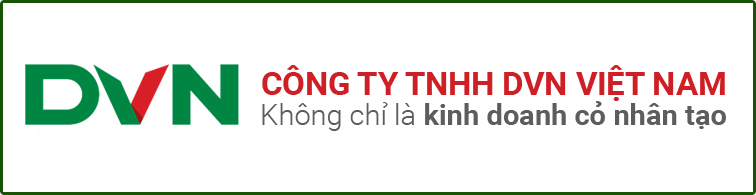 Chi Nhánh Hà Nội - Công ty TNHH DVN Việt Nam_