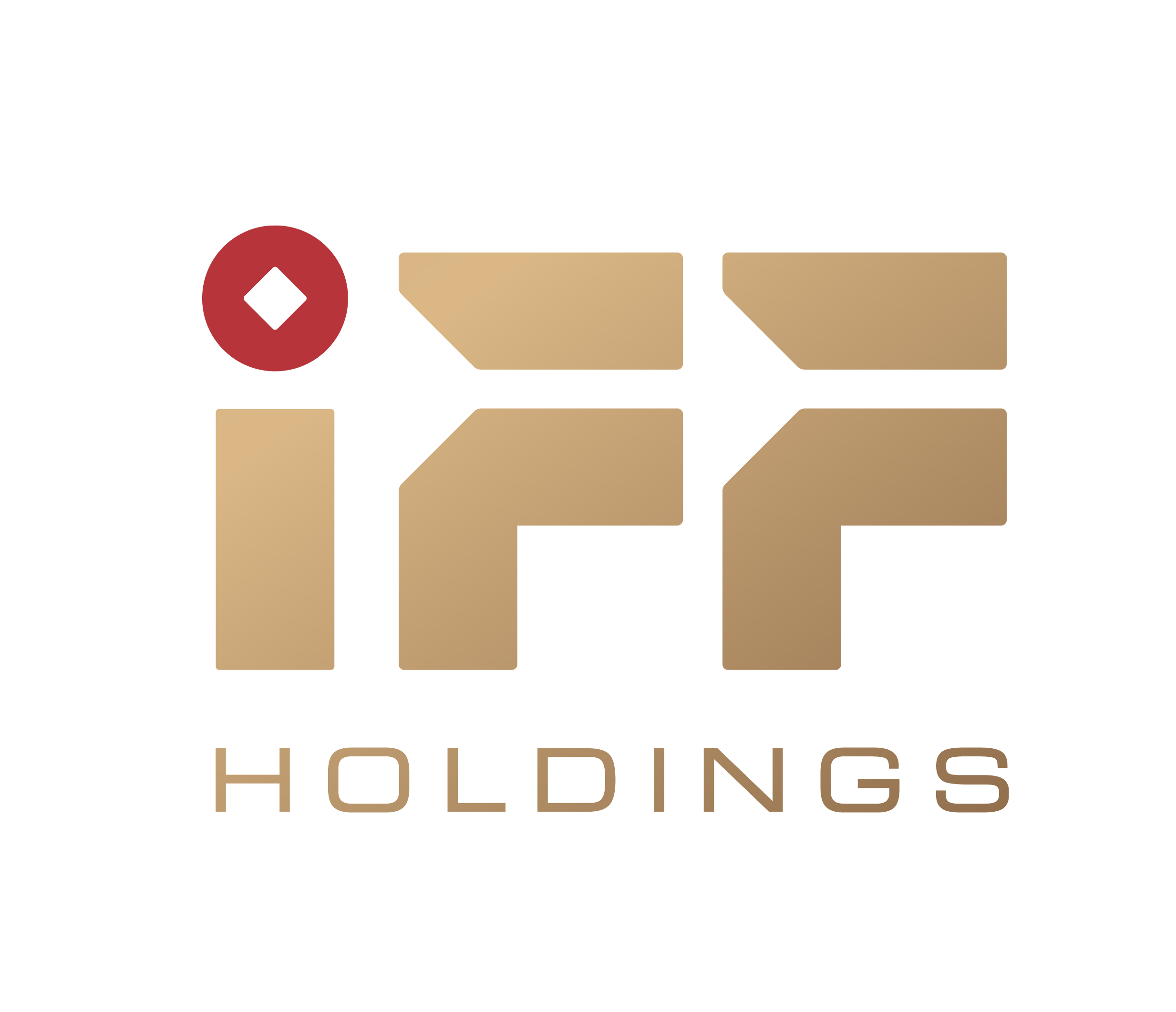 CÔNG TY CỔ PHẦN IFF HOLDINGS