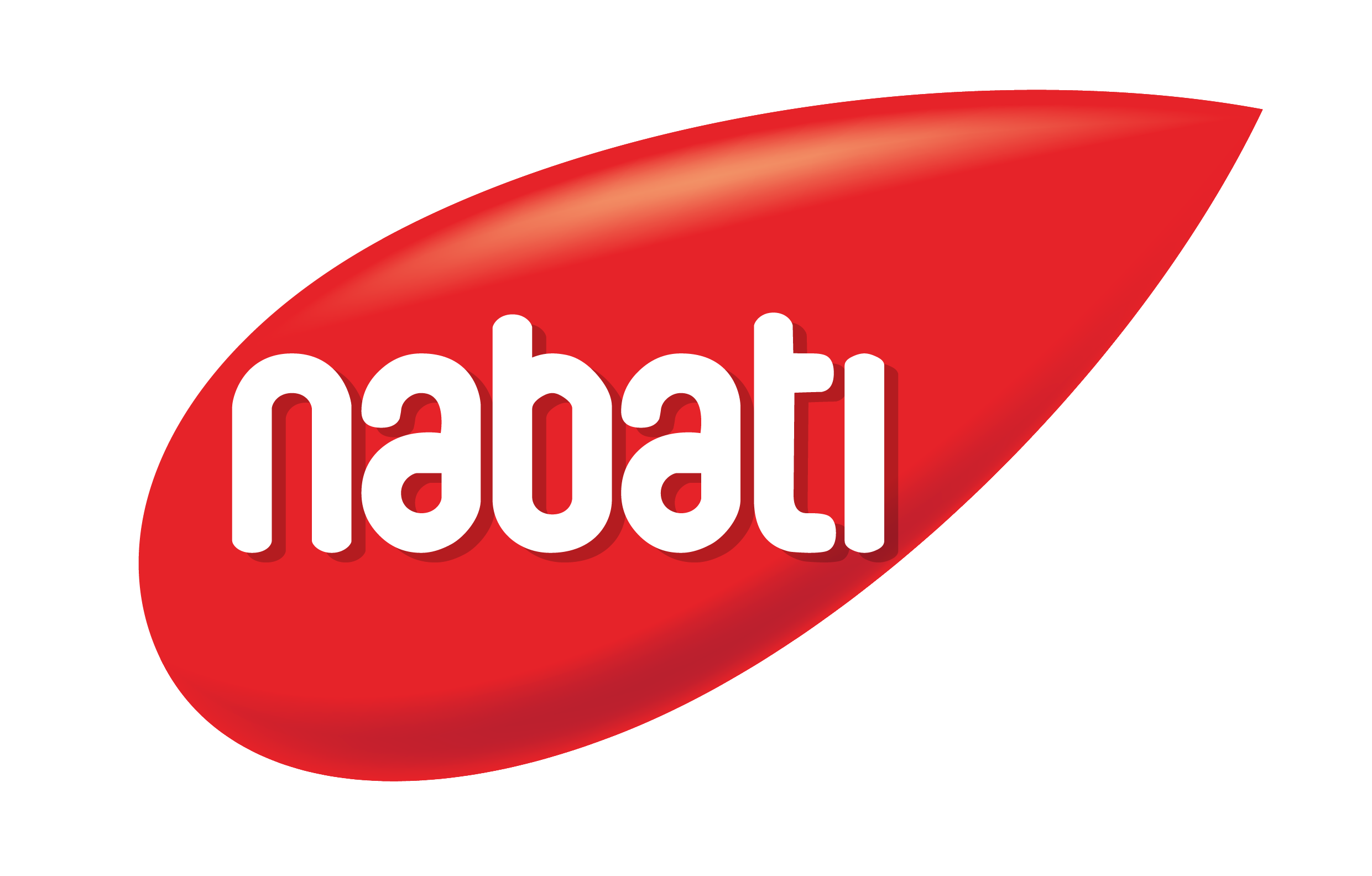 Công Ty NABATI Việt Nam logo-company