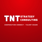 CÔNG TY TNHH TNT STRATEGY CONSULTING